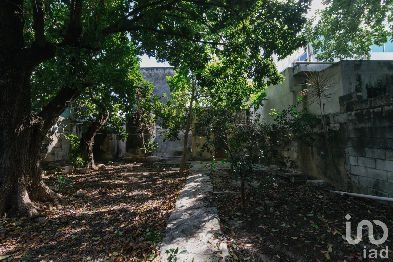 Casa en Venta en Mérida Centro, Mérida, Yucatán | NEX-278280 | iad México | Foto 10 de 12