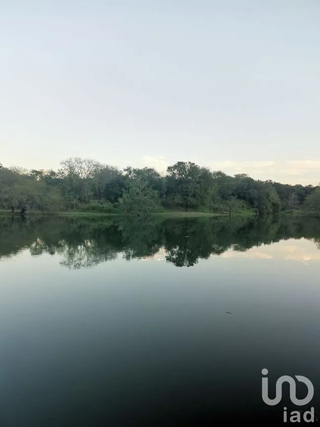 Terreno en Venta en El Pastor, Montemorelos, Nuevo León | NEX-272047 | iad México | Foto 4 de 8