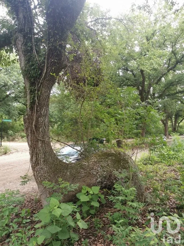 Terreno en Venta en El Pastor, Montemorelos, Nuevo León | NEX-272047 | iad México | Foto 7 de 8