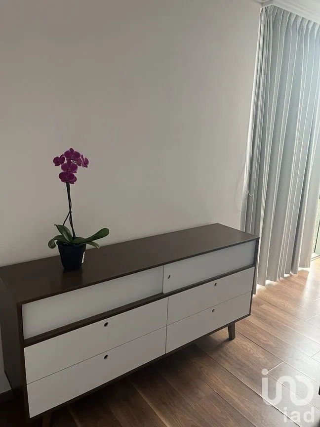 Departamento en Renta en Lomas de Chapultepec, Miguel Hidalgo, Ciudad de México | NEX-229421 | iad México | Foto 28 de 35