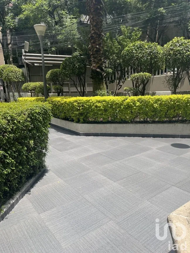 Departamento en Renta en Lomas de Chapultepec, Miguel Hidalgo, Ciudad de México | NEX-229421 | iad México | Foto 5 de 35