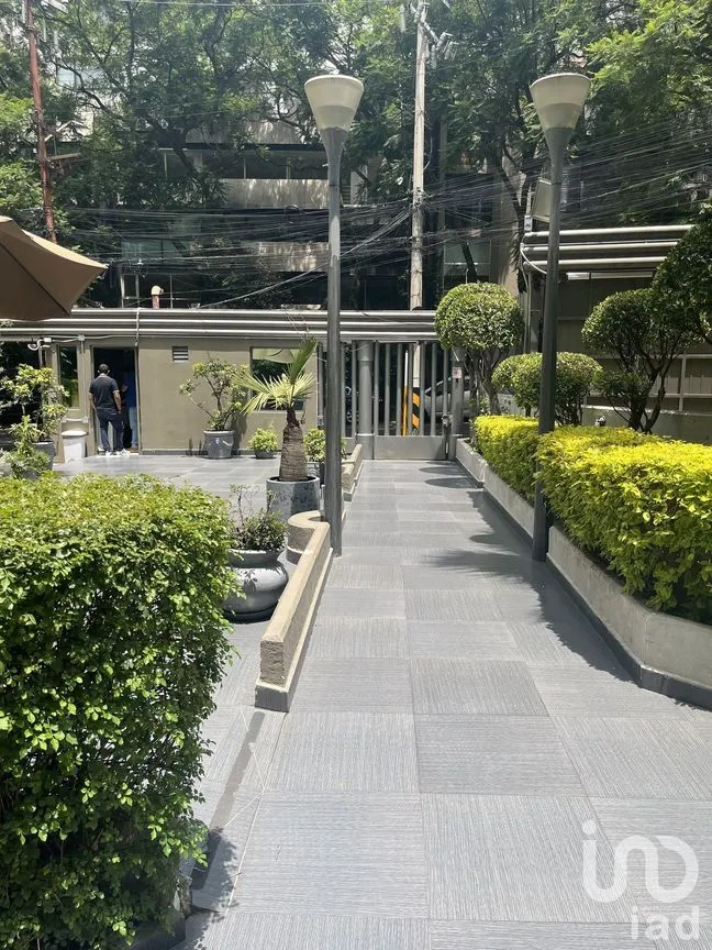 Departamento en Renta en Lomas de Chapultepec, Miguel Hidalgo, Ciudad de México | NEX-229421 | iad México | Foto 6 de 35