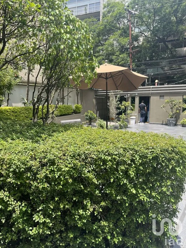 Departamento en Renta en Lomas de Chapultepec, Miguel Hidalgo, Ciudad de México | NEX-229421 | iad México | Foto 7 de 35