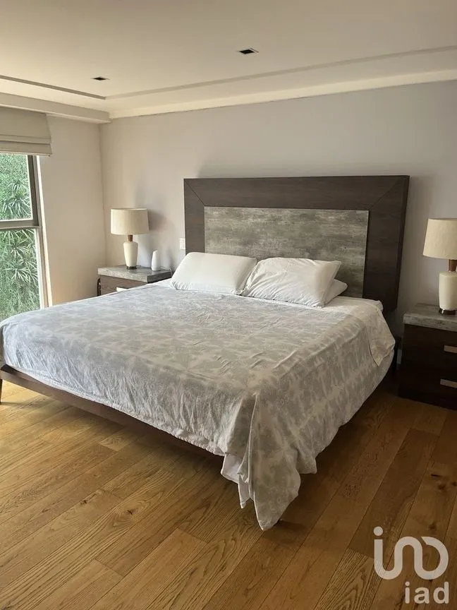 Departamento en Renta en Polanco III Sección, Miguel Hidalgo, Ciudad de México | NEX-229422 | iad México | Foto 18 de 33