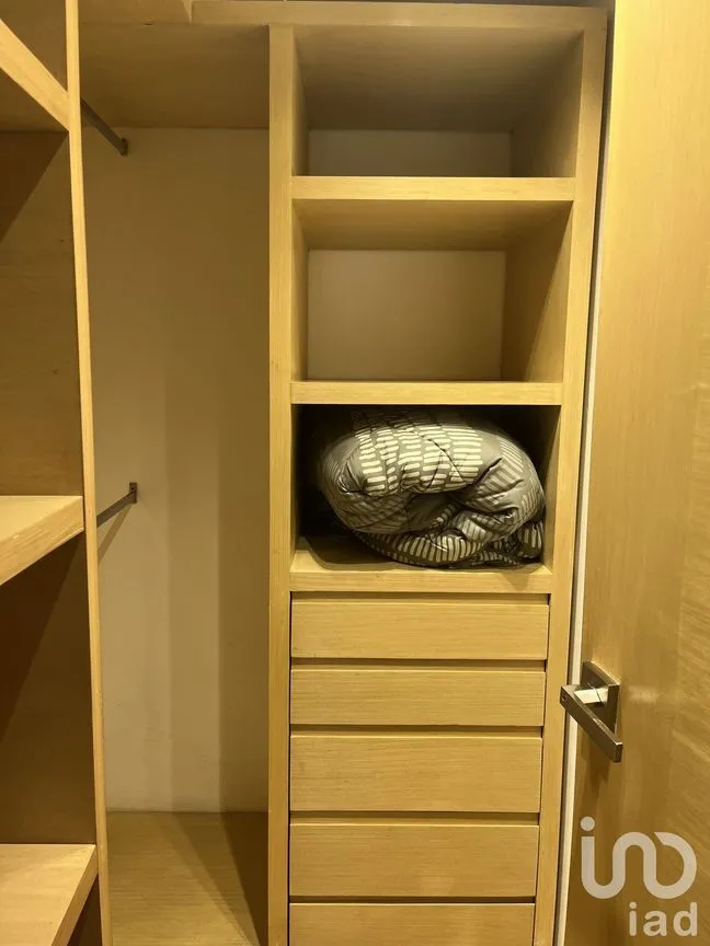 Departamento en Renta en Polanco III Sección, Miguel Hidalgo, Ciudad de México | NEX-229422 | iad México | Foto 21 de 33