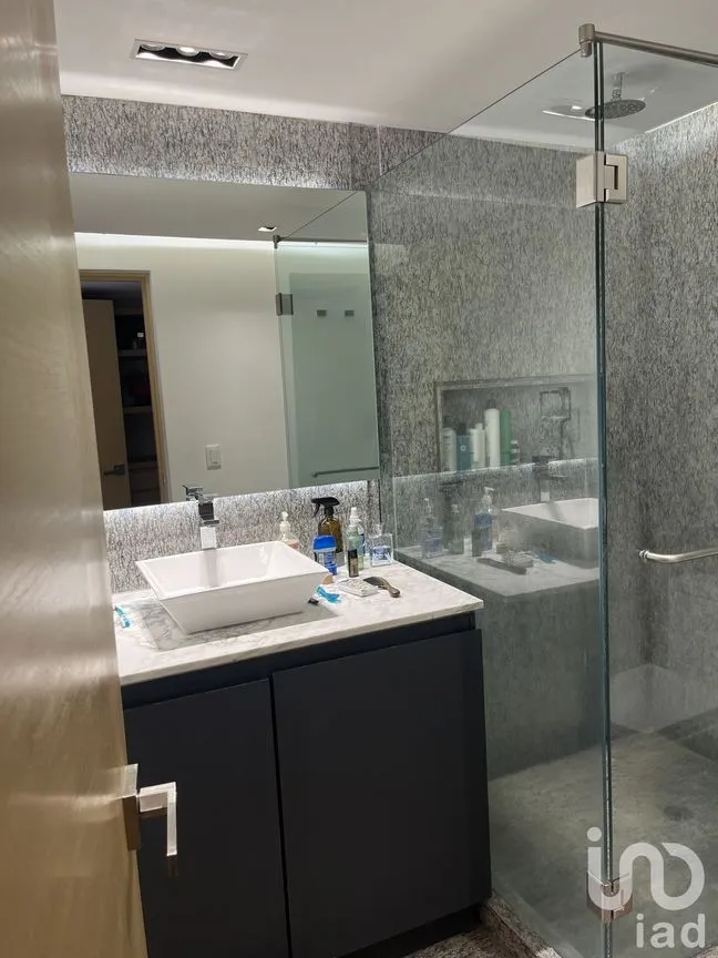 Departamento en Renta en Polanco III Sección, Miguel Hidalgo, Ciudad de México | NEX-229422 | iad México | Foto 22 de 33