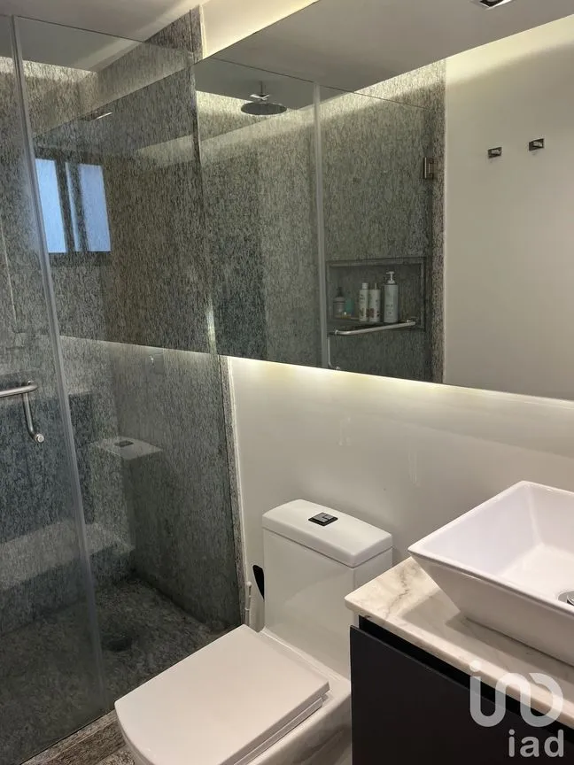 Departamento en Renta en Polanco III Sección, Miguel Hidalgo, Ciudad de México | NEX-229422 | iad México | Foto 23 de 33