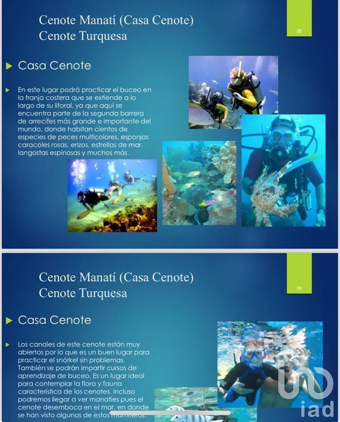 Terreno en Venta en Paraíso del Carmen, Solidaridad, Quintana Roo | NEX-229437 | iad México | Foto 14 de 30