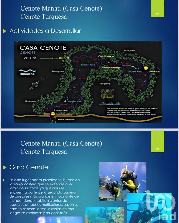 Terreno en Venta en Paraíso del Carmen, Solidaridad, Quintana Roo | NEX-229437 | iad México | Foto 15 de 30