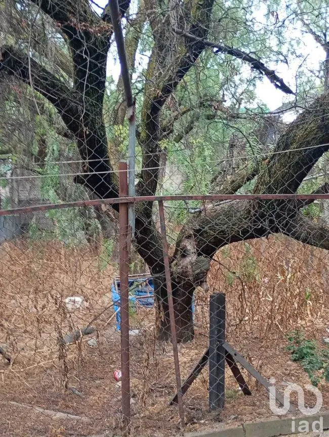 Terreno en Venta en San Juan Xalpa, Iztapalapa, Ciudad de México | NEX-281445 | iad México | Foto 13 de 16