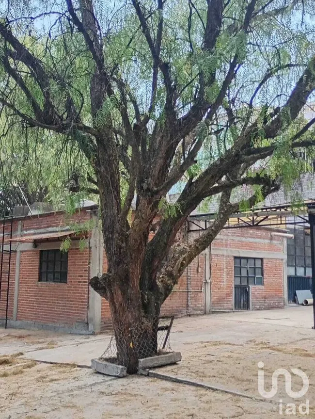 Terreno en Venta en San Juan Xalpa, Iztapalapa, Ciudad de México | NEX-281445 | iad México | Foto 7 de 16