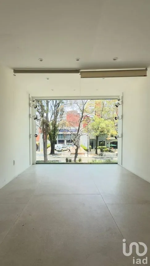 Local en Renta en Polanco V Sección, Miguel Hidalgo, Ciudad de México | NEX-281463 | iad México | Foto 10 de 19