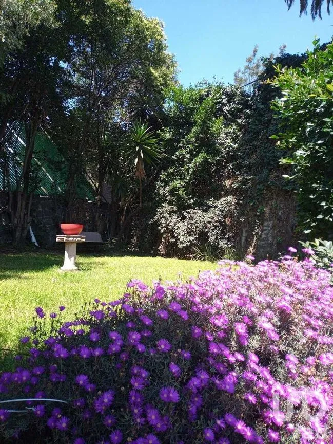Casa en Venta en Jardines del Pedregal, Álvaro Obregón, Ciudad de México | NEX-281485 | iad México | Foto 10 de 13