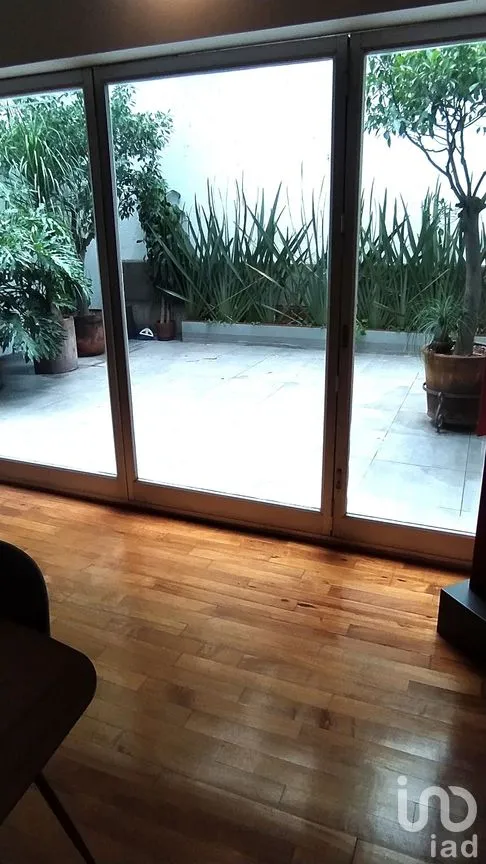 Departamento en Renta en Polanco III Sección, Miguel Hidalgo, Ciudad de México | NEX-290709 | iad México | Foto 3 de 24