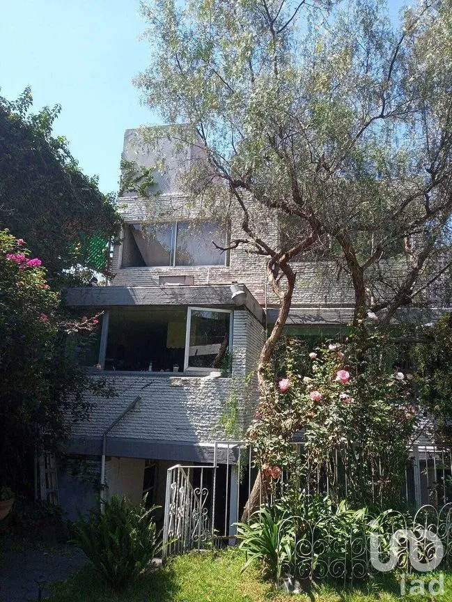 Casa en Venta en Jardines del Pedregal, Álvaro Obregón, Ciudad de México | NEX-293191 | iad México | Foto 6 de 13