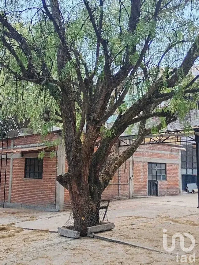 Terreno en Venta en San Juan Xalpa, Iztapalapa, Ciudad de México | NEX-293197 | iad México | Foto 7 de 16