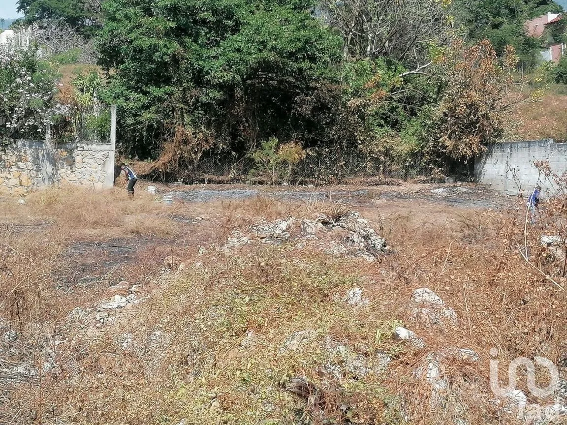 Terreno en Venta en Chiapa de Corzo Centro, Chiapa de Corzo, Chiapas | NEX-103373 | iad México | Foto 6 de 9