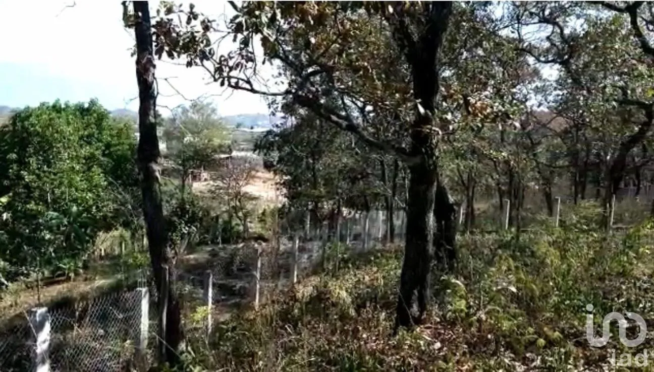 Terreno en Venta en Comitán, Tuxtla Gutiérrez, Chiapas | NEX-106668 | iad México | Foto 2 de 14