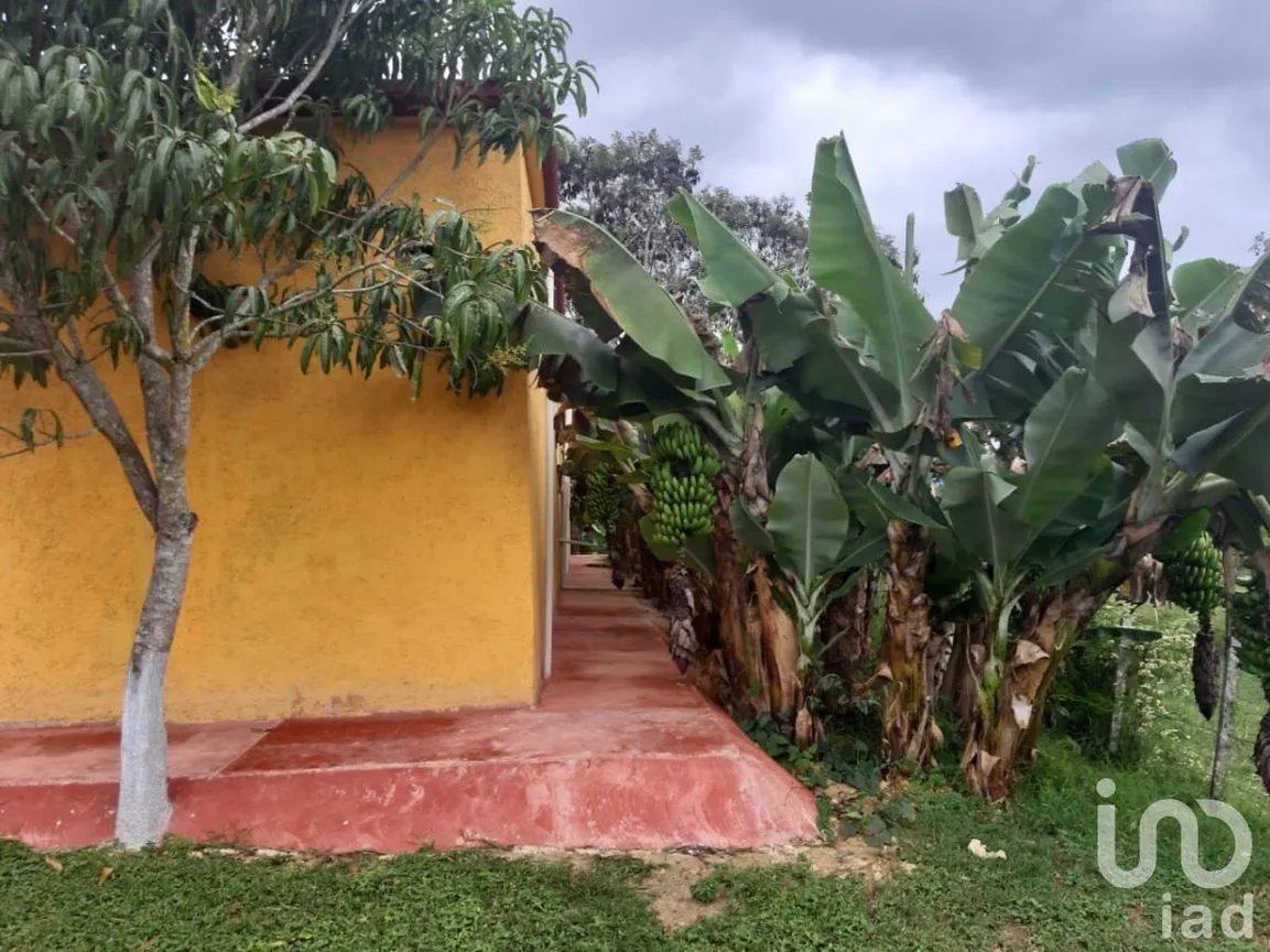 Casa en Venta en Tonina, Ocosingo, Chiapas | NEX-107156 | iad México | Foto 20 de 38