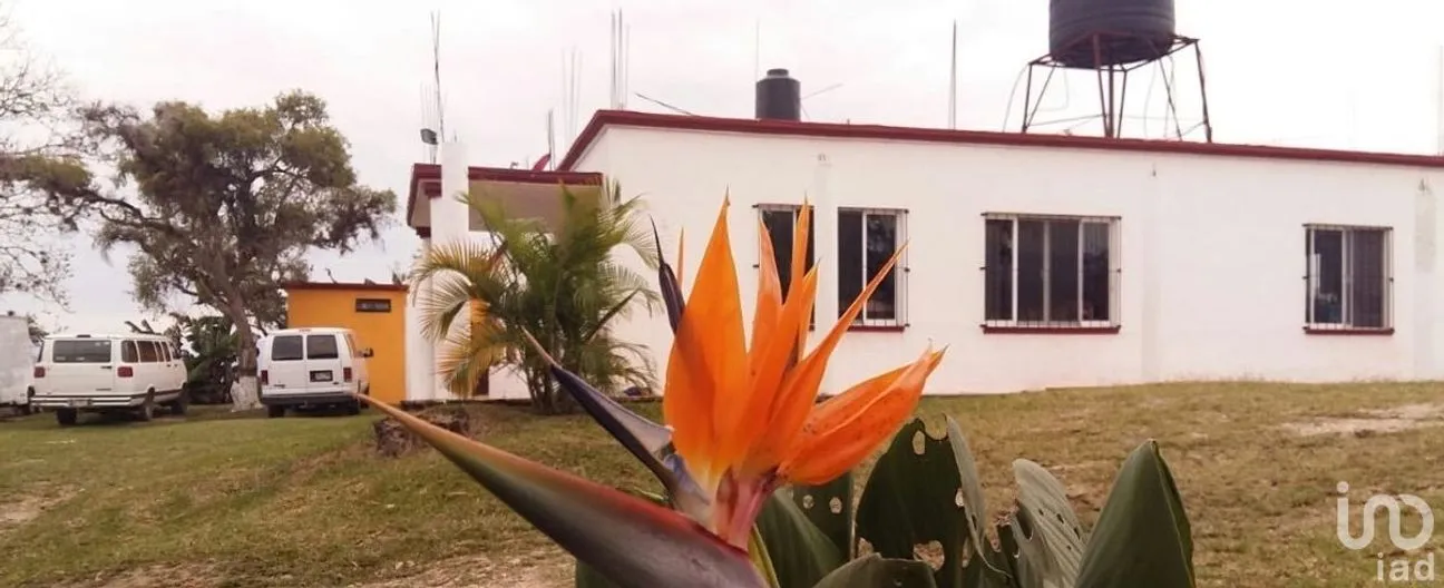 Casa en Venta en Tonina, Ocosingo, Chiapas | NEX-107156 | iad México | Foto 14 de 38