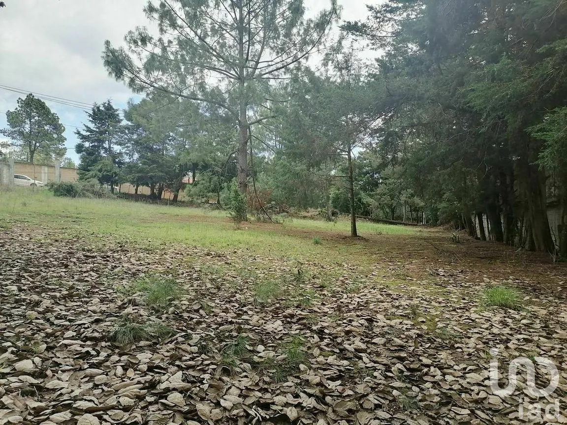 Terreno en Venta en Molino Utrilla, San Cristóbal de las Casas, Chiapas