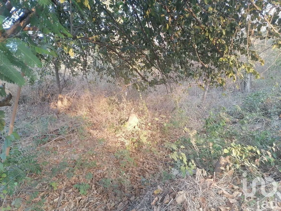 Terreno en Venta en Campestre Arenal, Tuxtla Gutiérrez, Chiapas | NEX-229661 | iad México | Foto 12 de 16