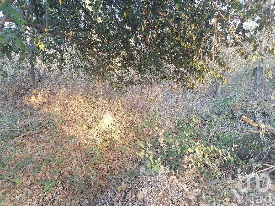 Terreno en Venta en Campestre Arenal, Tuxtla Gutiérrez, Chiapas | NEX-229661 | iad México | Foto 13 de 16