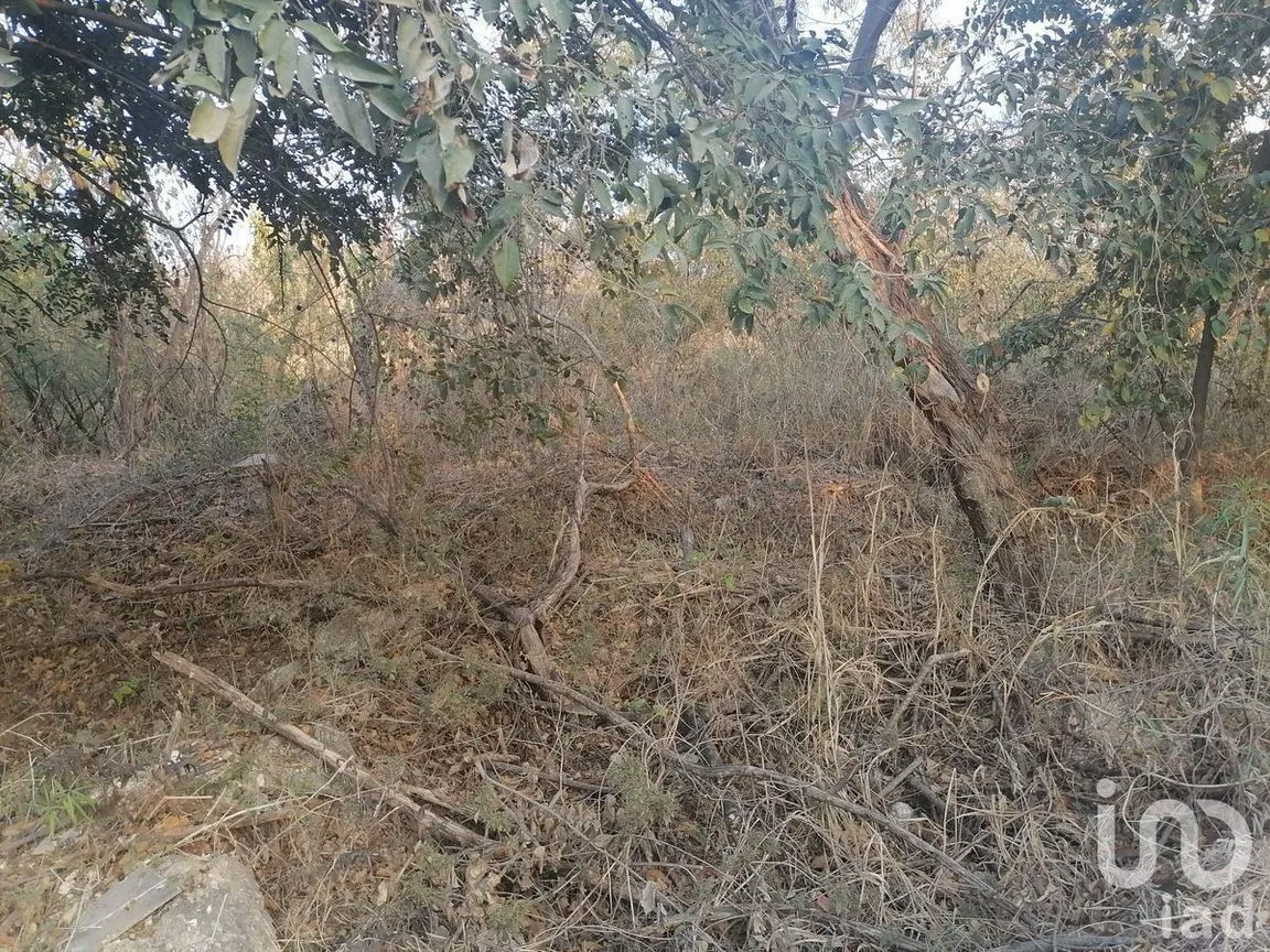 Terreno en Venta en Campestre Arenal, Tuxtla Gutiérrez, Chiapas | NEX-229661 | iad México | Foto 6 de 16