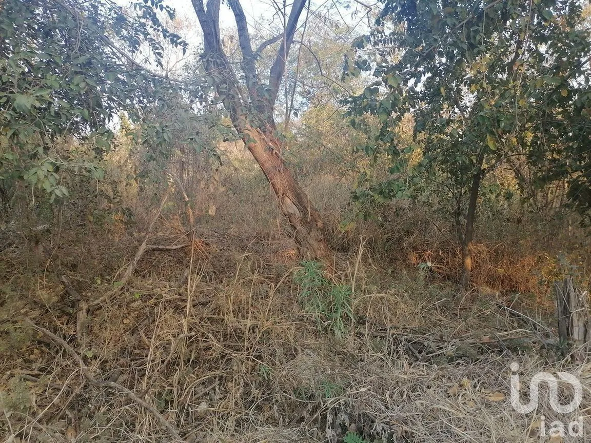 Terreno en Venta en Campestre Arenal, Tuxtla Gutiérrez, Chiapas | NEX-229661 | iad México | Foto 7 de 16