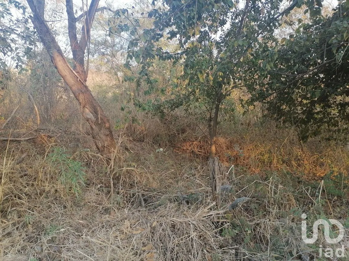 Terreno en Venta en Campestre Arenal, Tuxtla Gutiérrez, Chiapas | NEX-229661 | iad México | Foto 8 de 16