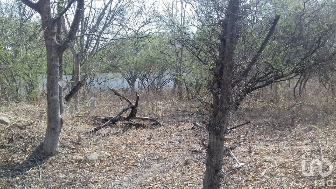 Terreno en Venta en Campestre Arenal, Tuxtla Gutiérrez, Chiapas | NEX-229661 | iad México | Foto 10 de 16