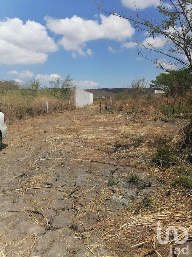 Terreno en Venta en Plan de Ayala, Tuxtla Gutiérrez, Chiapas | NEX-229664 | iad México | Foto 10 de 10