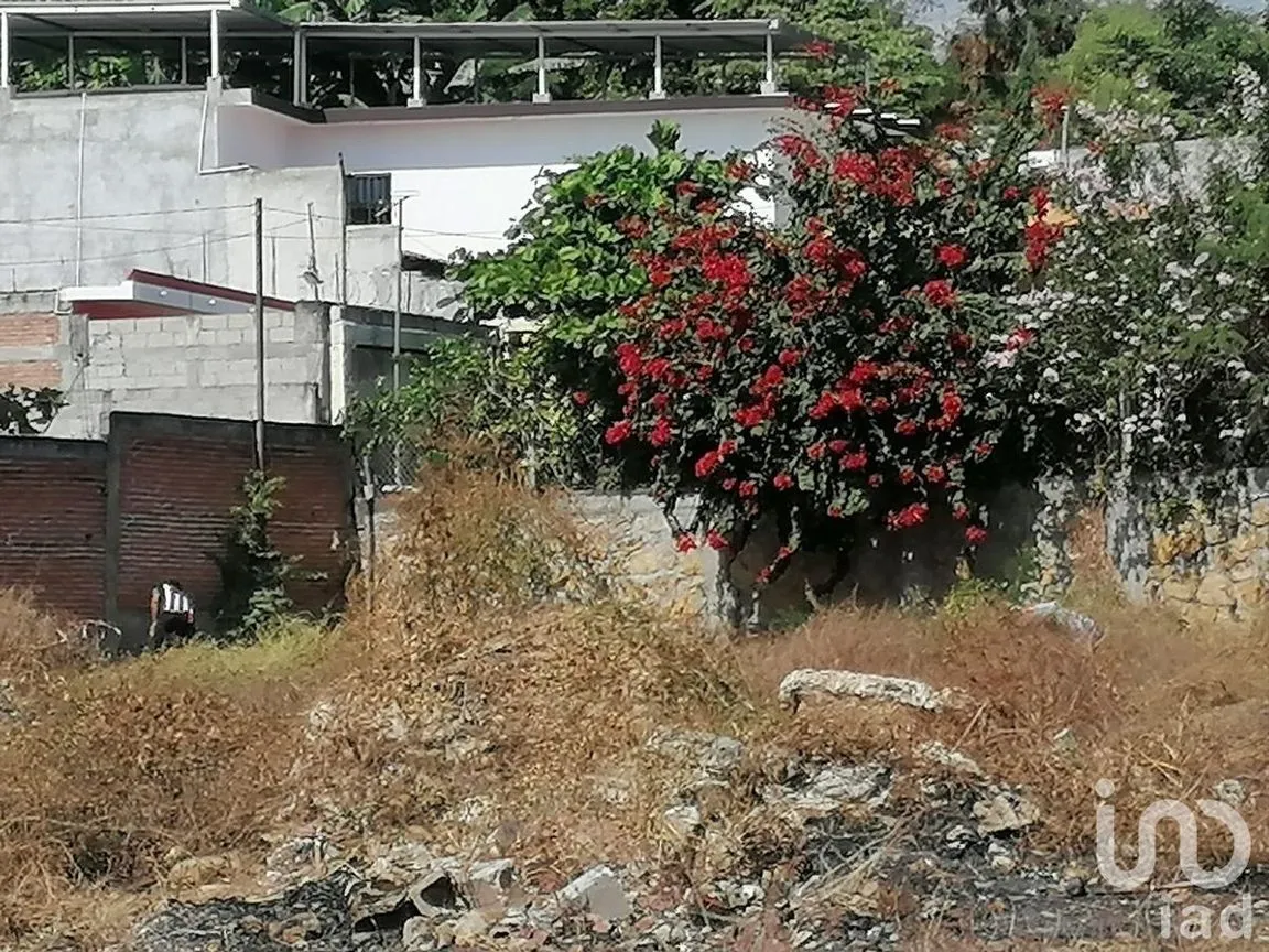Terreno en Venta en Chiapa de Corzo Centro, Chiapa de Corzo, Chiapas | NEX-229666 | iad México | Foto 6 de 10