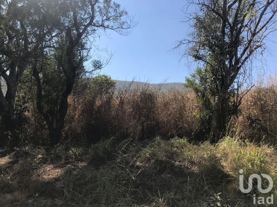 Terreno en Venta en Alianza Popular Laborante, Tuxtla Gutiérrez, Chiapas | NEX-229667 | iad México | Foto 2 de 9