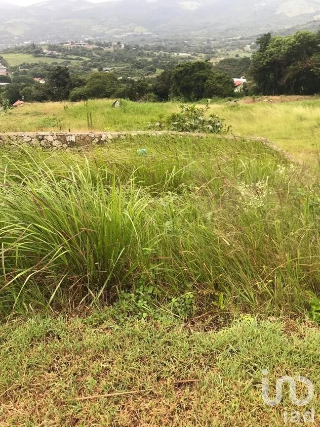 Terreno en Venta en Álvaro Obregón, San Fernando, Chiapas | NEX-229671 | iad México | Foto 11 de 19