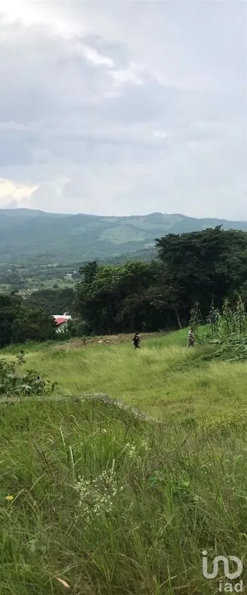 Terreno en Venta en Álvaro Obregón, San Fernando, Chiapas | NEX-229671 | iad México | Foto 12 de 19