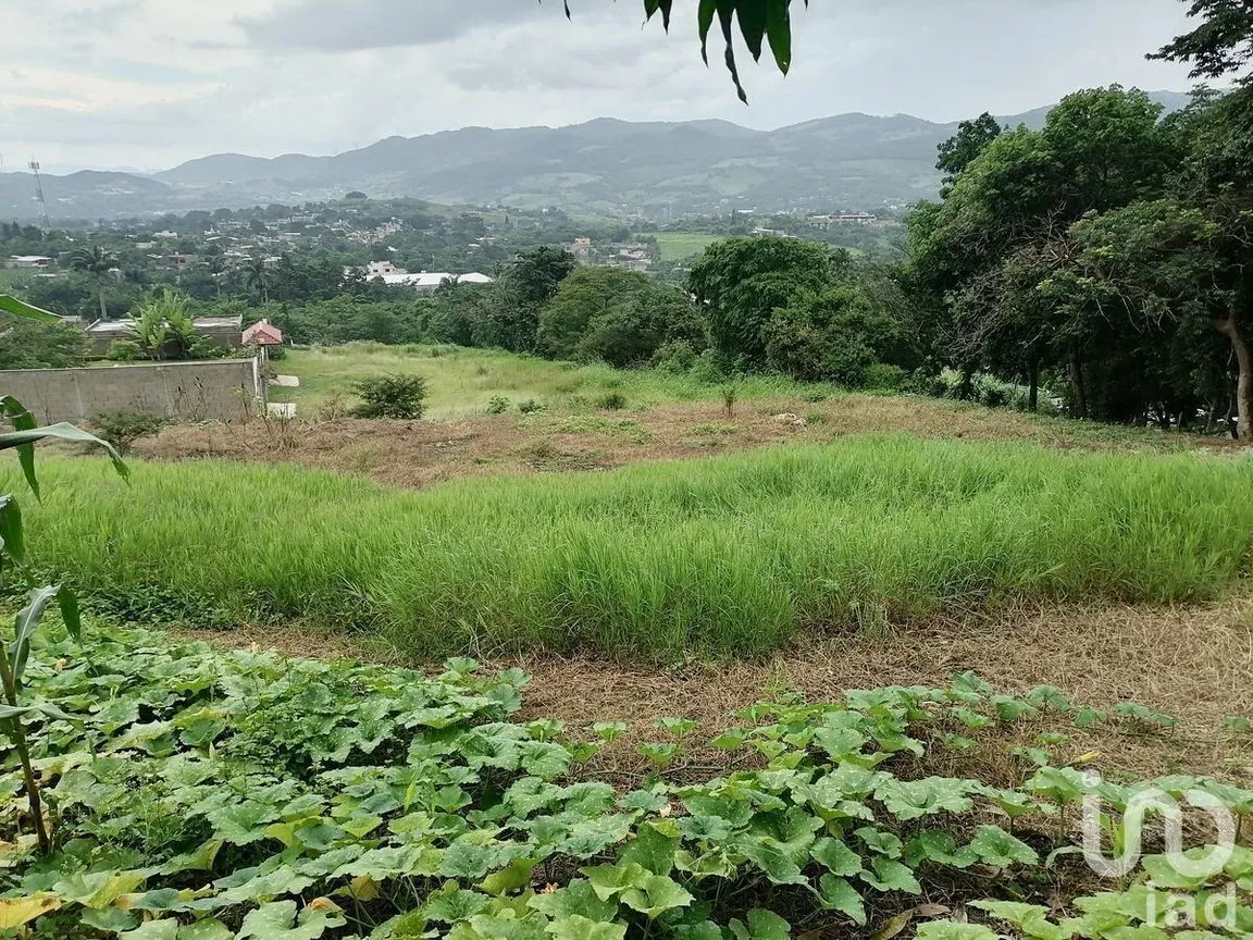 Terreno en Venta en Álvaro Obregón, San Fernando, Chiapas | NEX-229671 | iad México | Foto 15 de 19