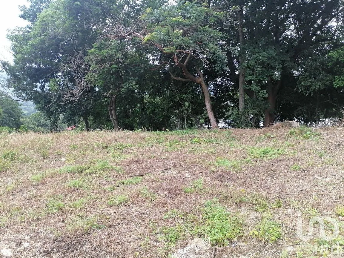 Terreno en Venta en Álvaro Obregón, San Fernando, Chiapas | NEX-229671 | iad México | Foto 4 de 19