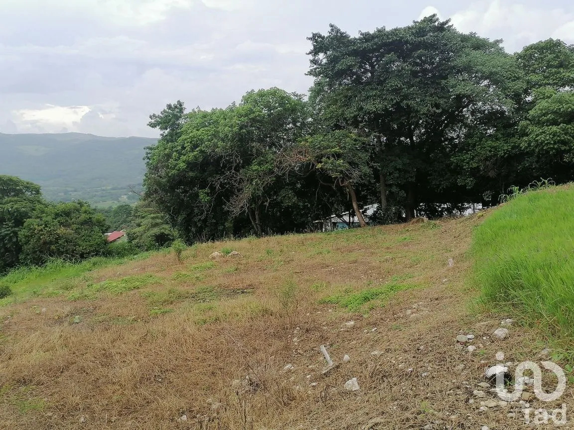 Terreno en Venta en Álvaro Obregón, San Fernando, Chiapas | NEX-229671 | iad México | Foto 5 de 19