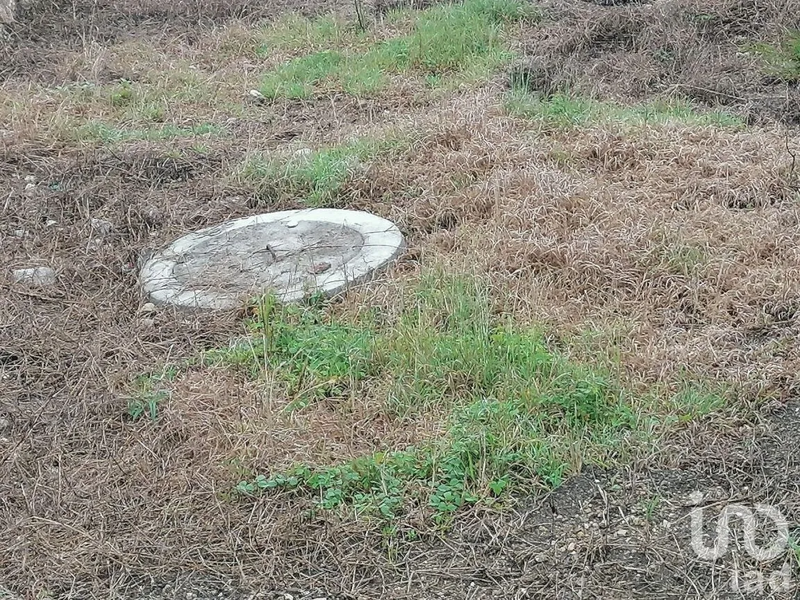 Terreno en Venta en Álvaro Obregón, San Fernando, Chiapas | NEX-229671 | iad México | Foto 6 de 19