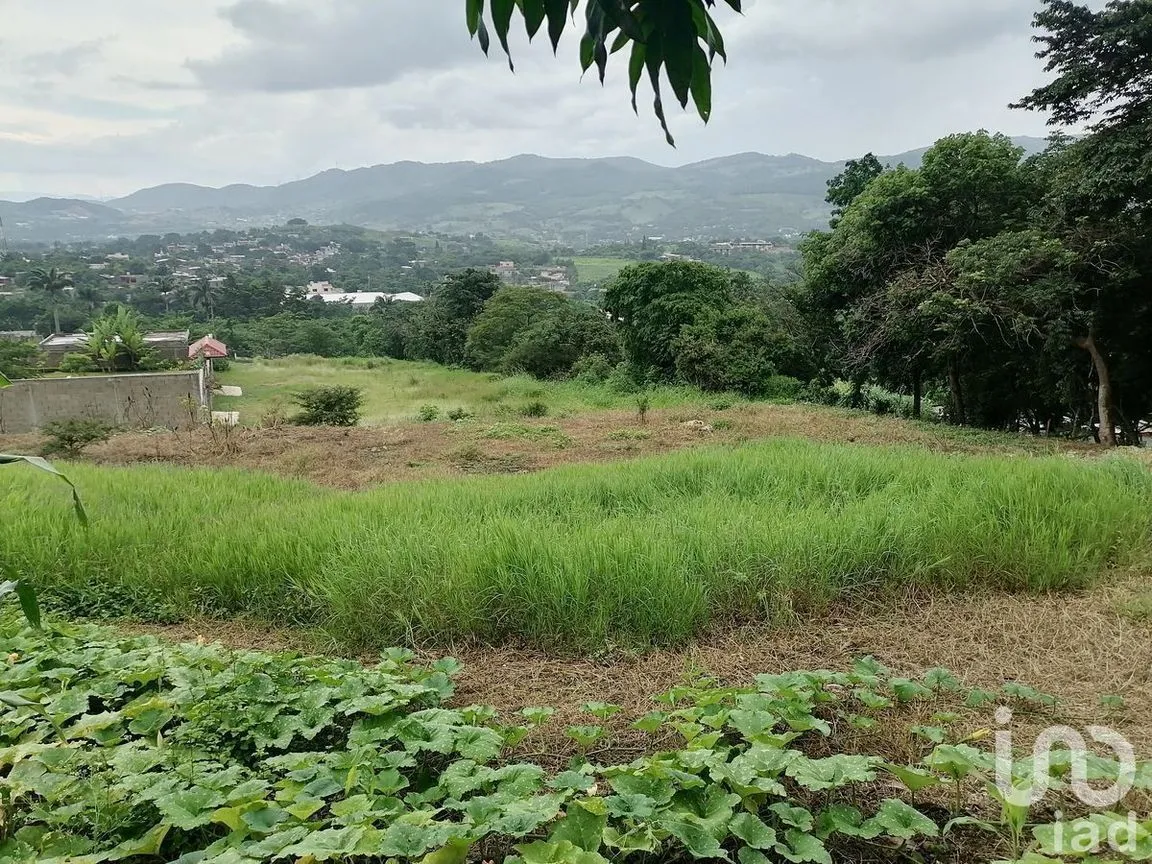 Terreno en Venta en Álvaro Obregón, San Fernando, Chiapas | NEX-229671 | iad México | Foto 10 de 19