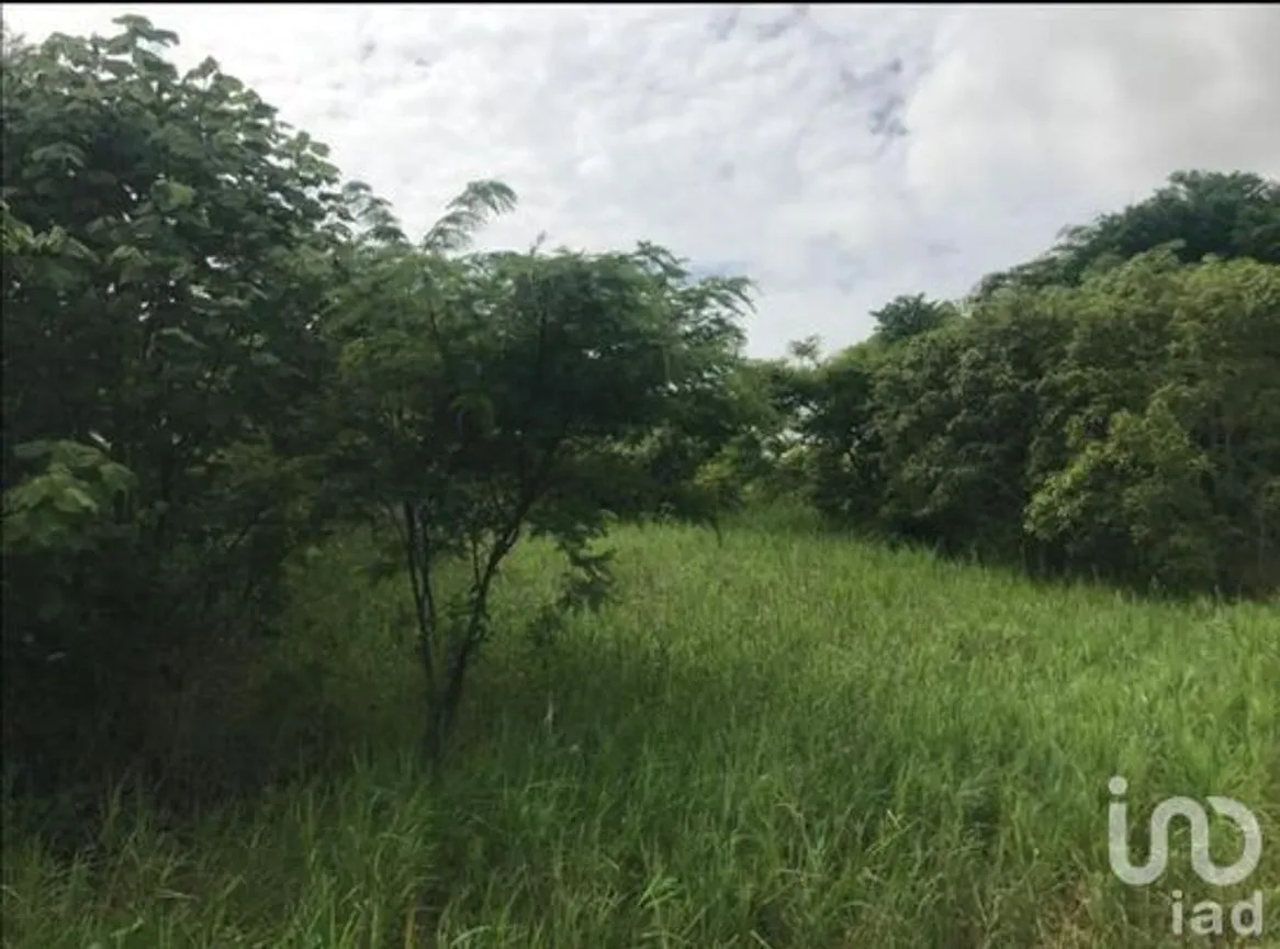 Terreno en Venta en Santa Cruz, Berriozábal, Chiapas | NEX-229675 | iad México | Foto 2 de 12