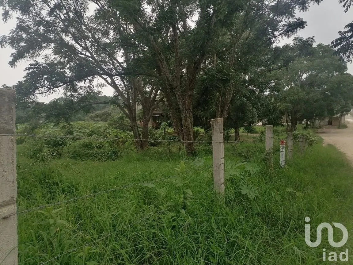 Terreno en Venta en Santa Cruz, Berriozábal, Chiapas | NEX-229675 | iad México | Foto 11 de 12
