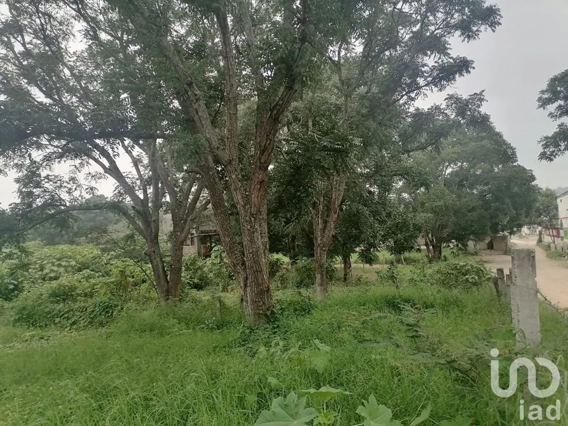 Terreno en Venta en Santa Cruz, Berriozábal, Chiapas | NEX-229675 | iad México | Foto 12 de 12