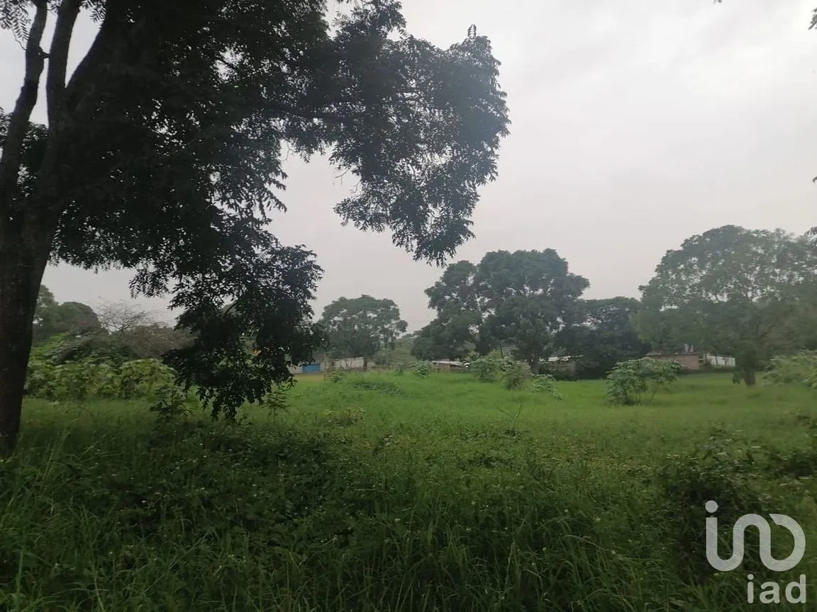Terreno en Venta en Santa Cruz, Berriozábal, Chiapas | NEX-229675 | iad México | Foto 3 de 12