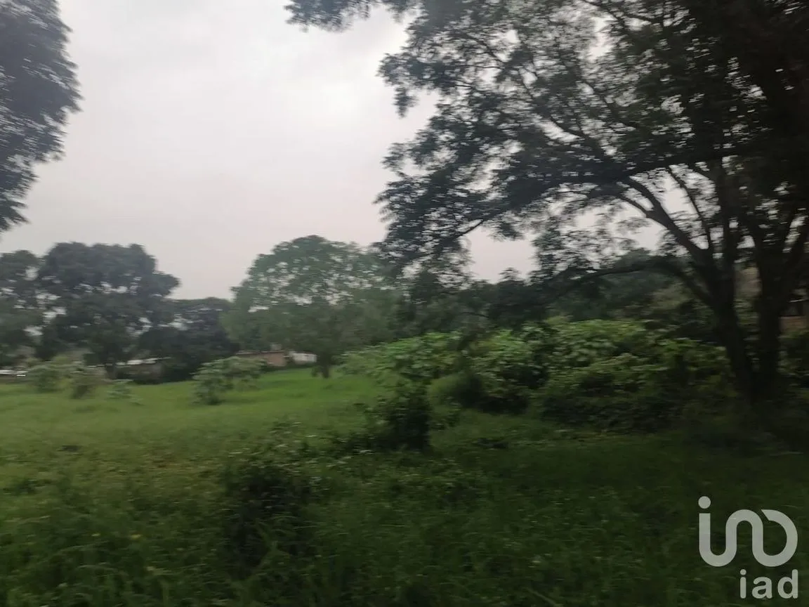 Terreno en Venta en Santa Cruz, Berriozábal, Chiapas | NEX-229675 | iad México | Foto 4 de 12