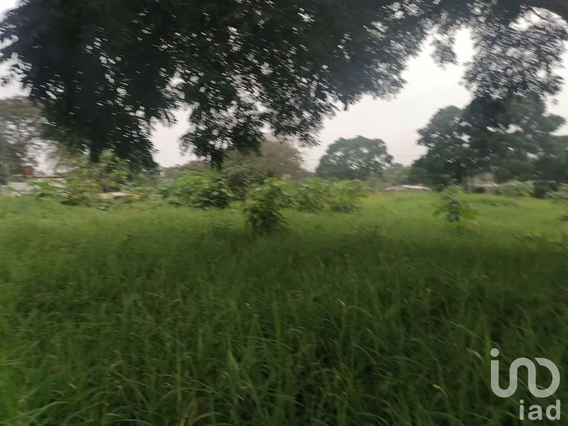 Terreno en Venta en Santa Cruz, Berriozábal, Chiapas | NEX-229675 | iad México | Foto 5 de 12