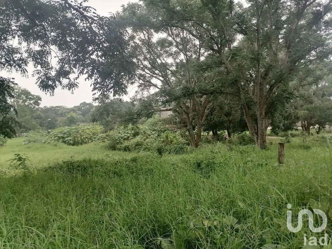 Terreno en Venta en Santa Cruz, Berriozábal, Chiapas | NEX-229675 | iad México | Foto 7 de 12