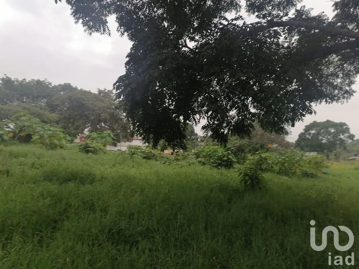 Terreno en Venta en Santa Cruz, Berriozábal, Chiapas | NEX-229675 | iad México | Foto 8 de 12