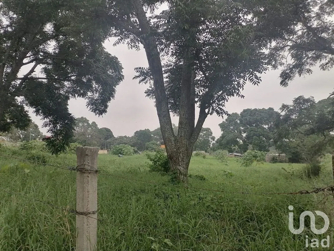 Terreno en Venta en Santa Cruz, Berriozábal, Chiapas | NEX-229675 | iad México | Foto 10 de 12